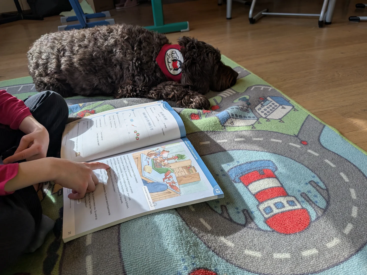 Maroni bei seinem Einsatz als Lesehund neben einem aufgeschlagenen Schulbuch