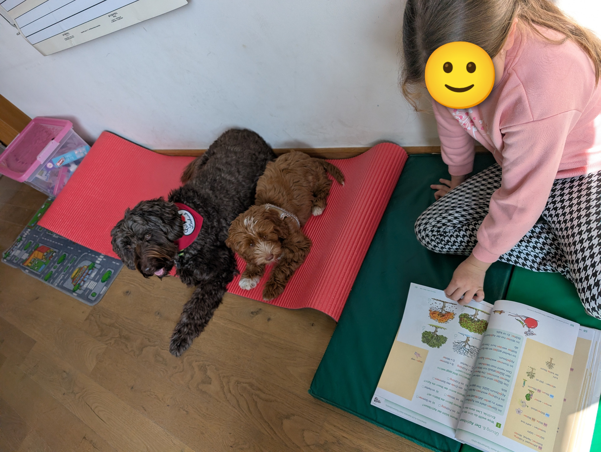 Hazel und Maroni bei einem Einsatz mit einem Kind