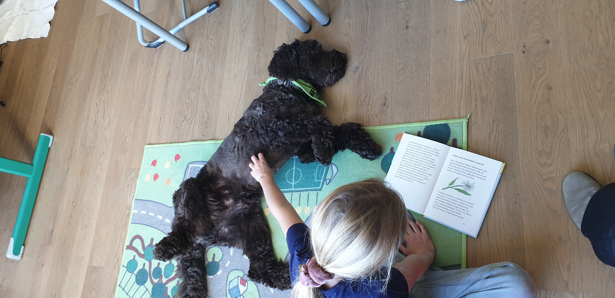 Maroni als Lesehund
