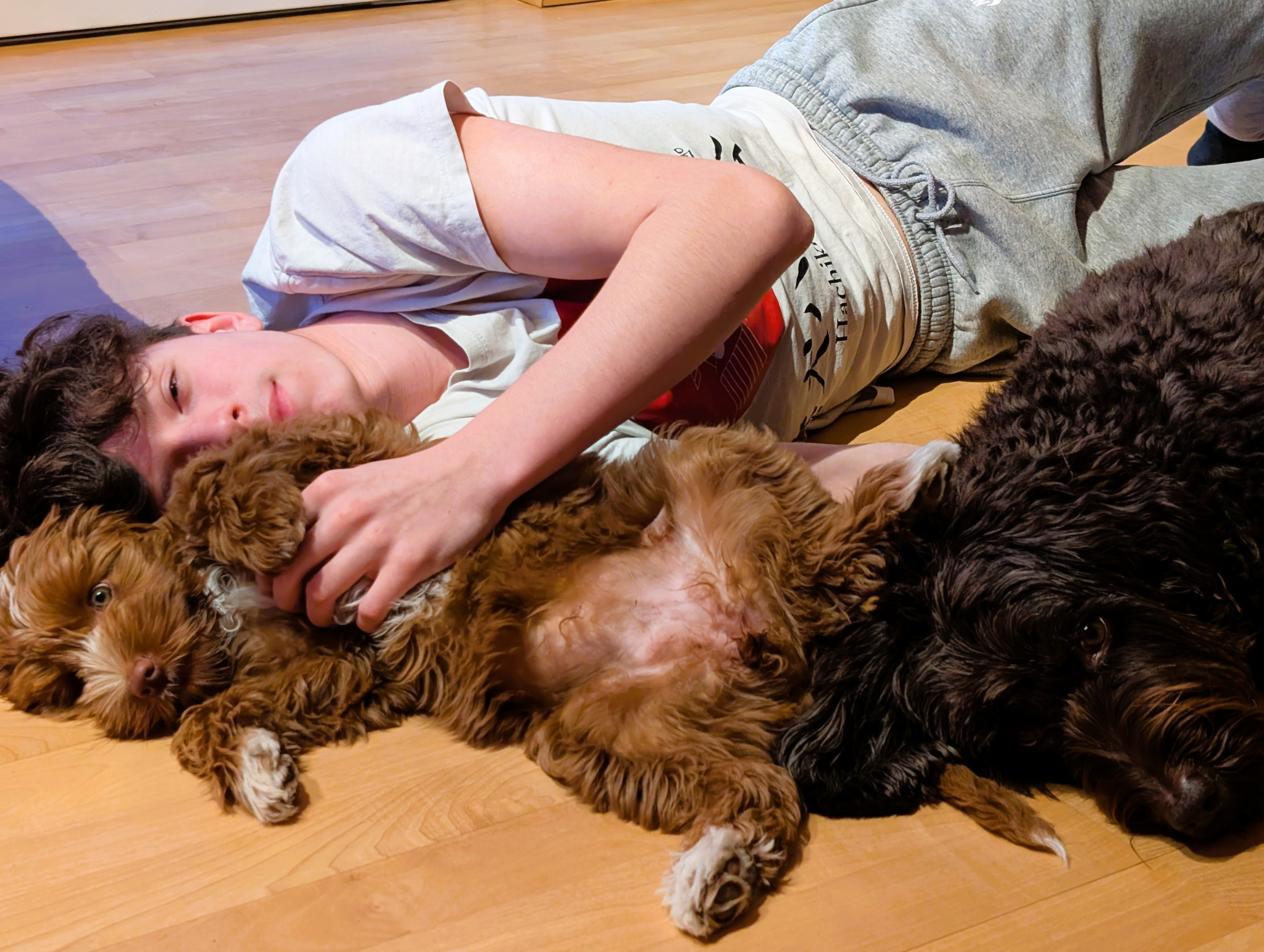 Kuscheln mit Hazel und Maroni