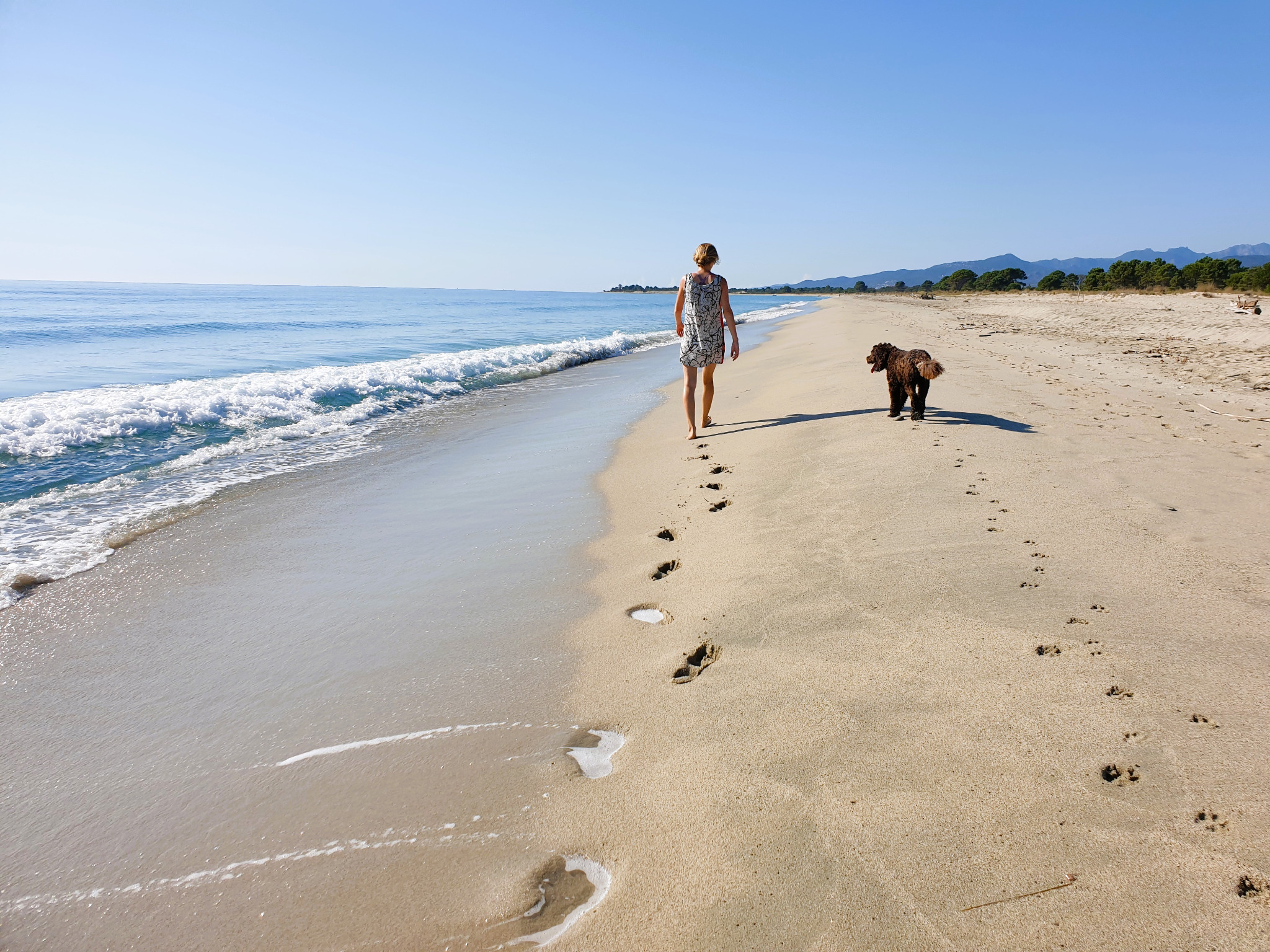 Spaziergang mit Maroni am Strand