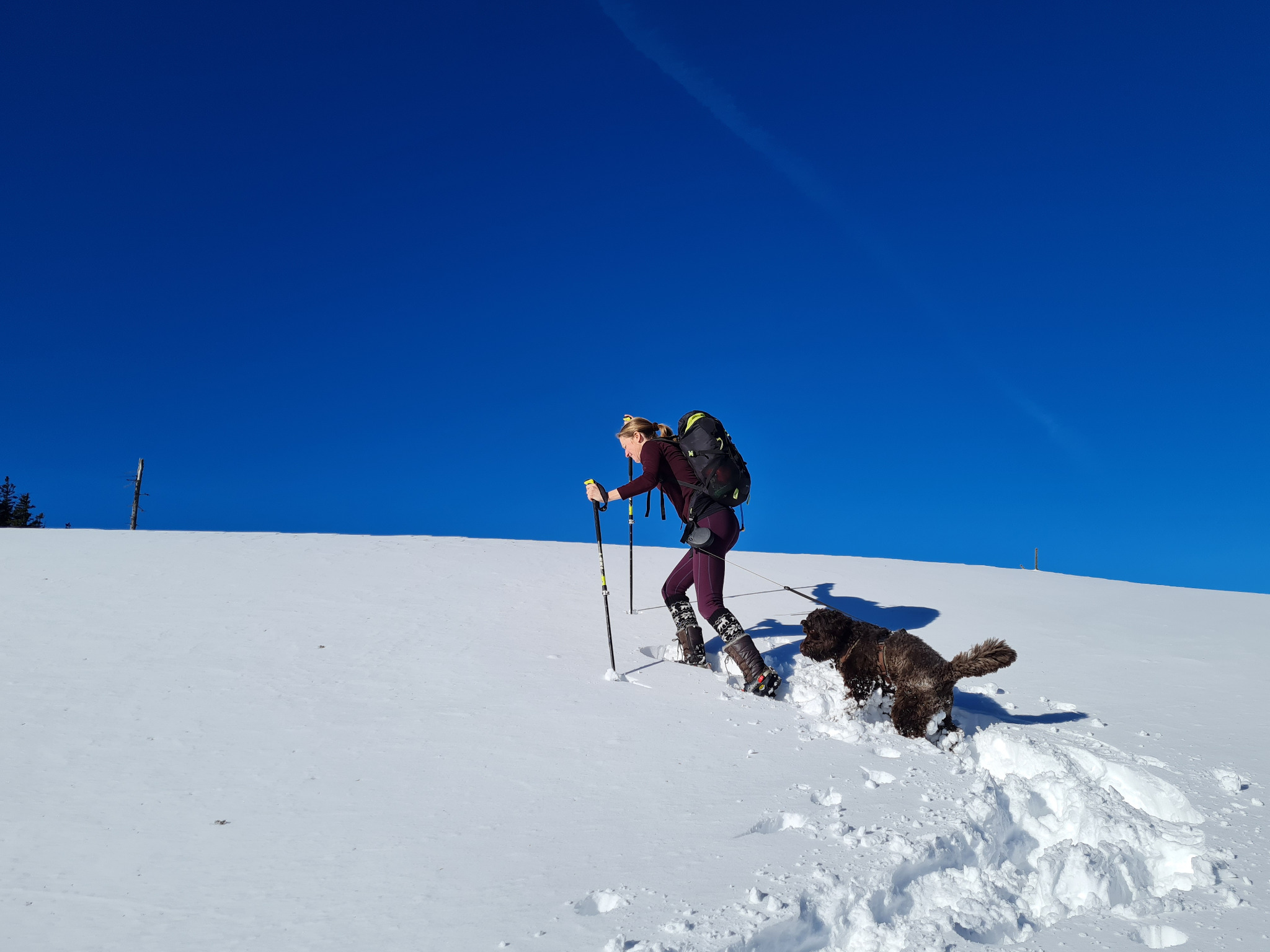 Gemeinsam unterwegs im tiefen Schnee