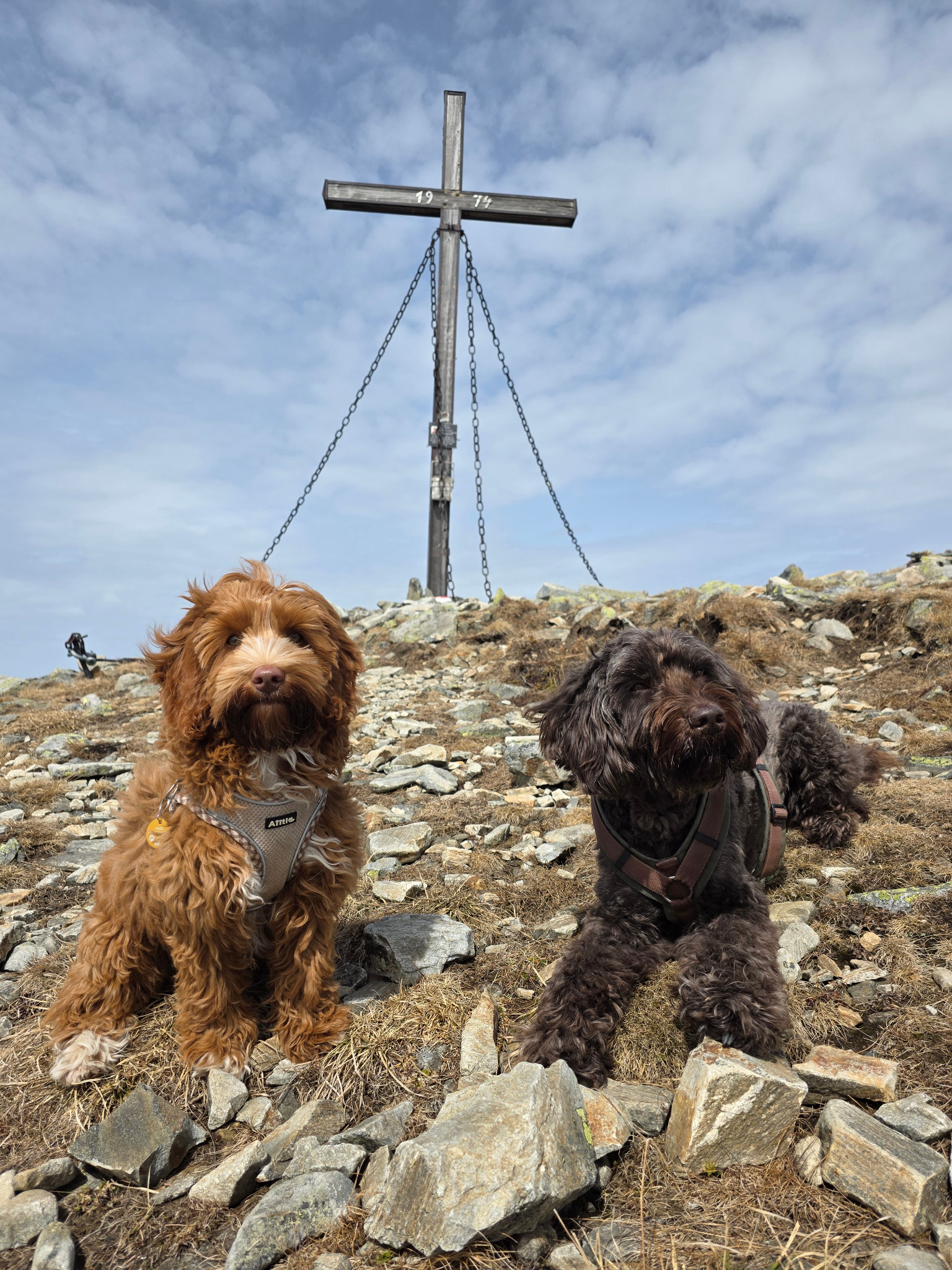 Hazel und Maroni beim Gipfelkreuz