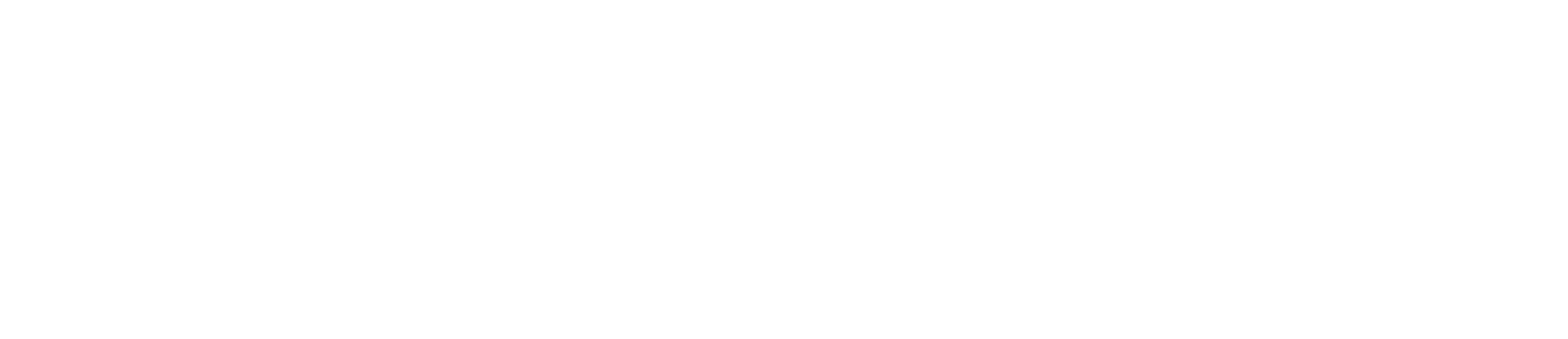 Mai Doodle – Australian Labradoodles